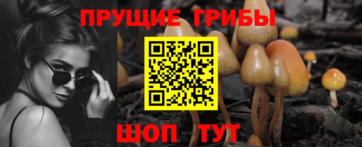 Октябрьский  что такое   Вход с VPN  Псилоцибиновые грибы мухоморы 