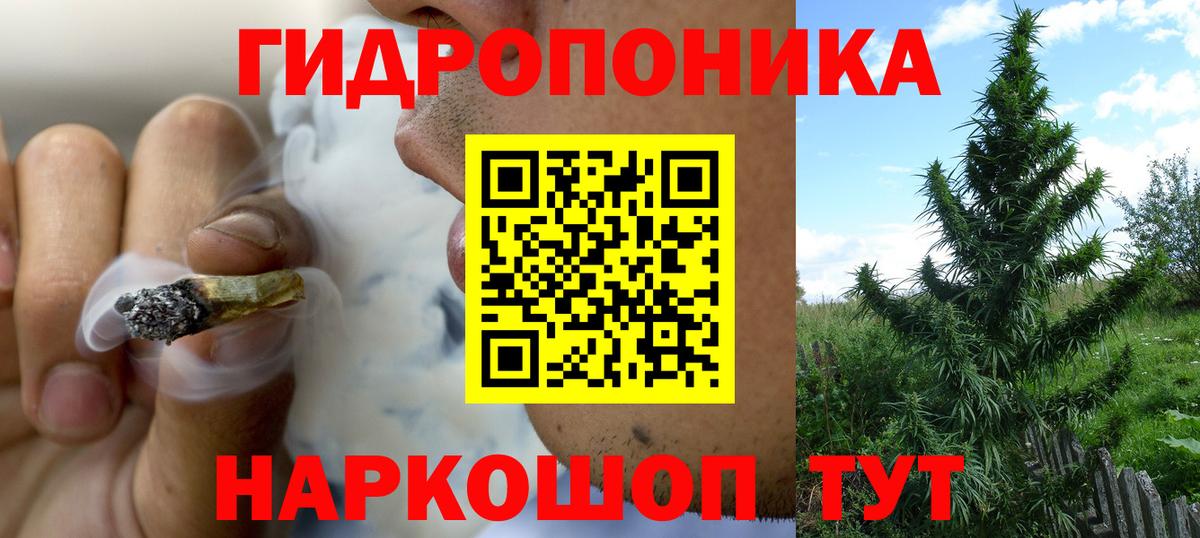Бошки Шишки план Октябрьский